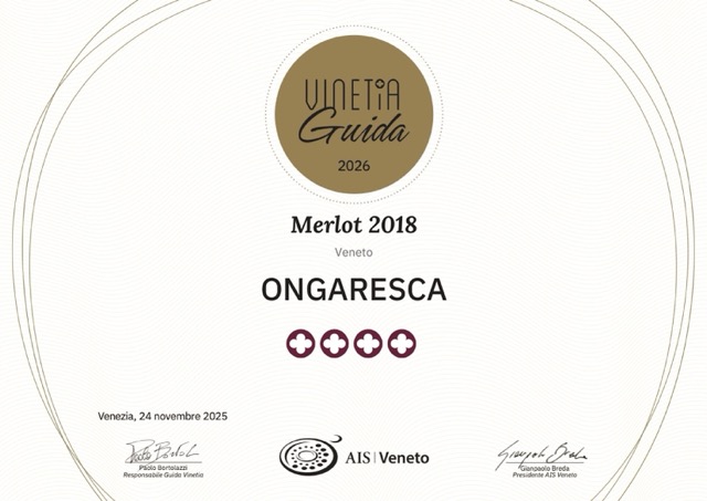 diploma_ais_veneto_2026_05_19_15_14_43-1 – dimensioni medie