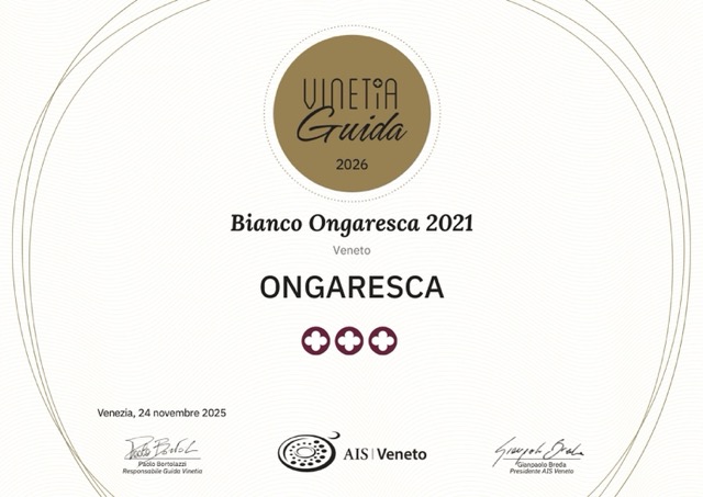 diploma_ais_veneto_2026_05_19_15_15_40-1 – dimensioni medie