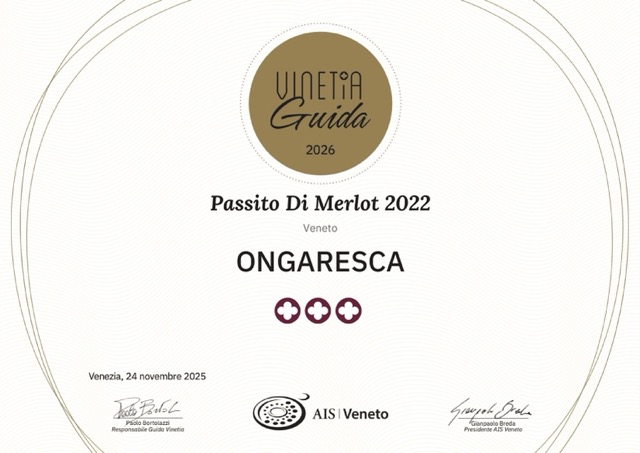 diploma_ais_veneto_2026_05_19_15_15_58-1 – dimensioni medie