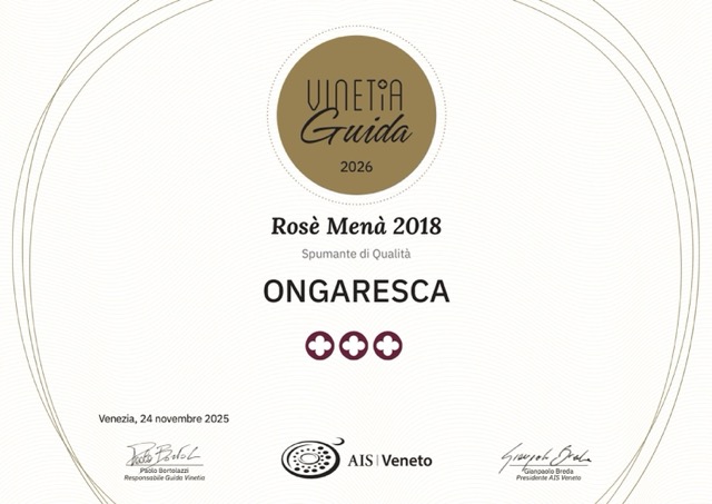 diploma_ais_veneto_2026_05_19_15_21_30-1 – dimensioni medie