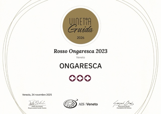 diploma_ais_veneto_2026_05_19_15_21_44-1 – dimensioni medie