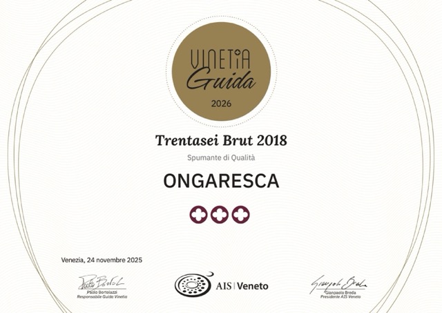 diploma_ais_veneto_2026_05_19_15_22_01-1 – dimensioni medie